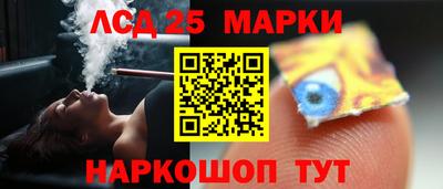 шишки Абакан