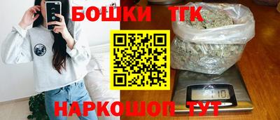 шишки Абакан